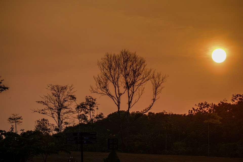 Warmer and drier weather  during February in Singapore