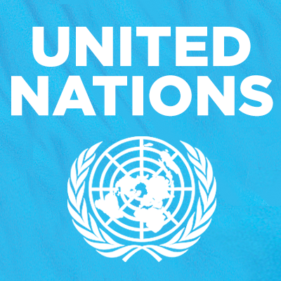 UN: India's growth rate expected to almost touch 8 per cent next year