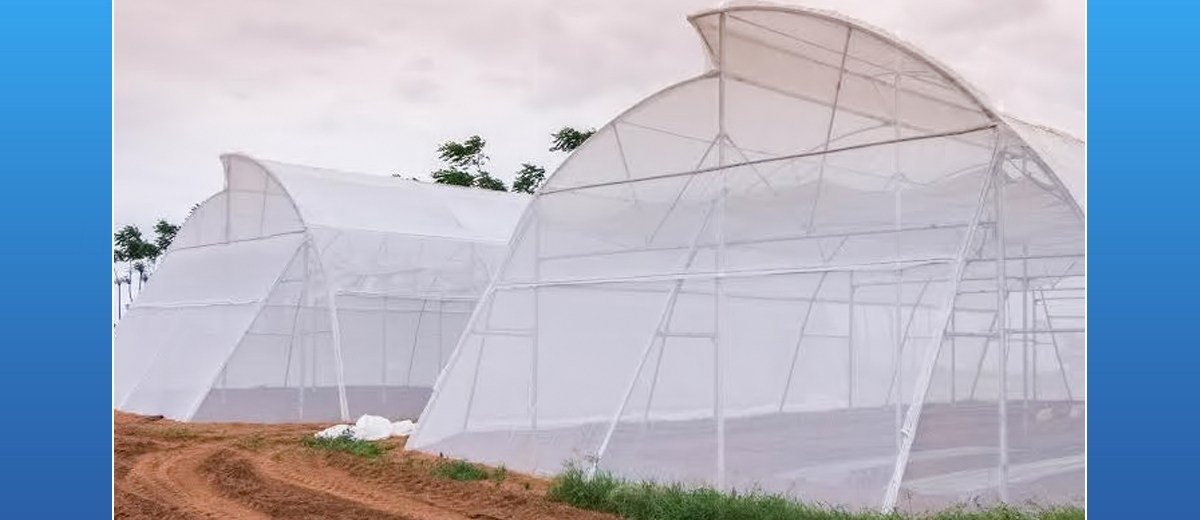 Hyderabad-based startup Kheyti has developed a unique ‘greenhouse-in-a-box’. 