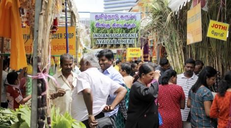 Celebrate harvest with the Singapore Tamil community