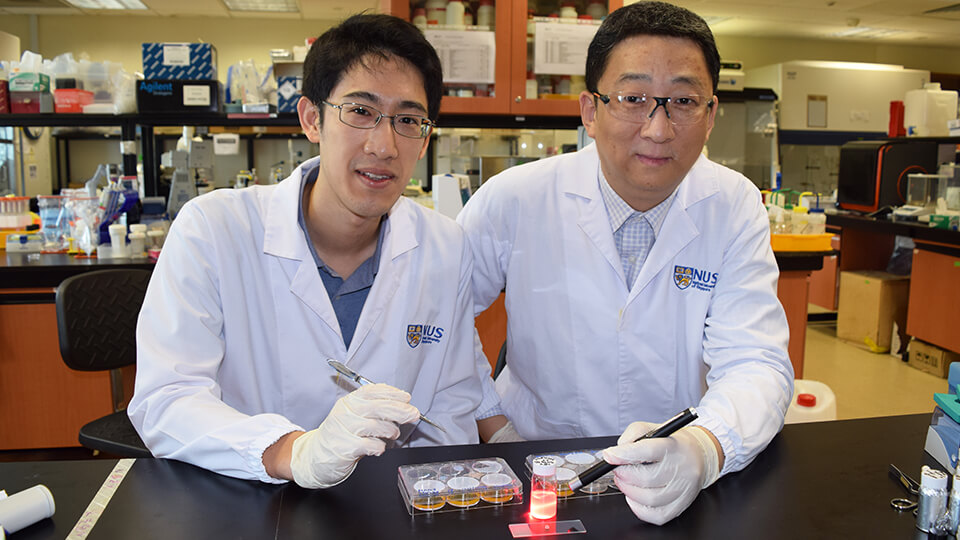 Assistant Professor John Ho and Professor Zhang Yong. Photo courtesy: NUS