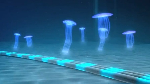 The submarine cable is expected to be completed by the fourth quarter of 2020. 