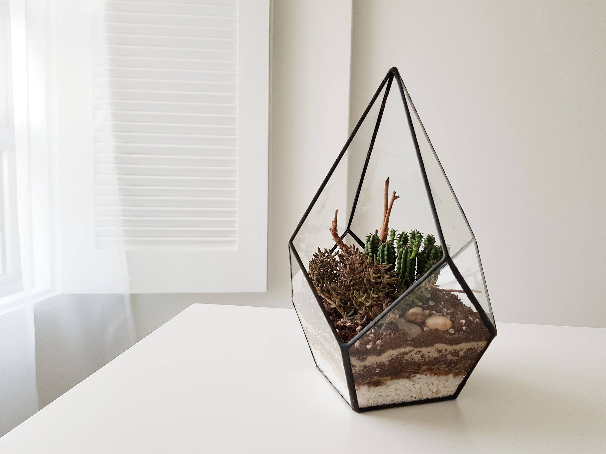 Photo courtesy: FAYY Terrarium & Gifts