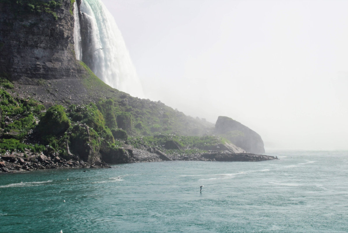 Seagulls flocking around the Falls. Photo courtesy: Kaustubh Shankar