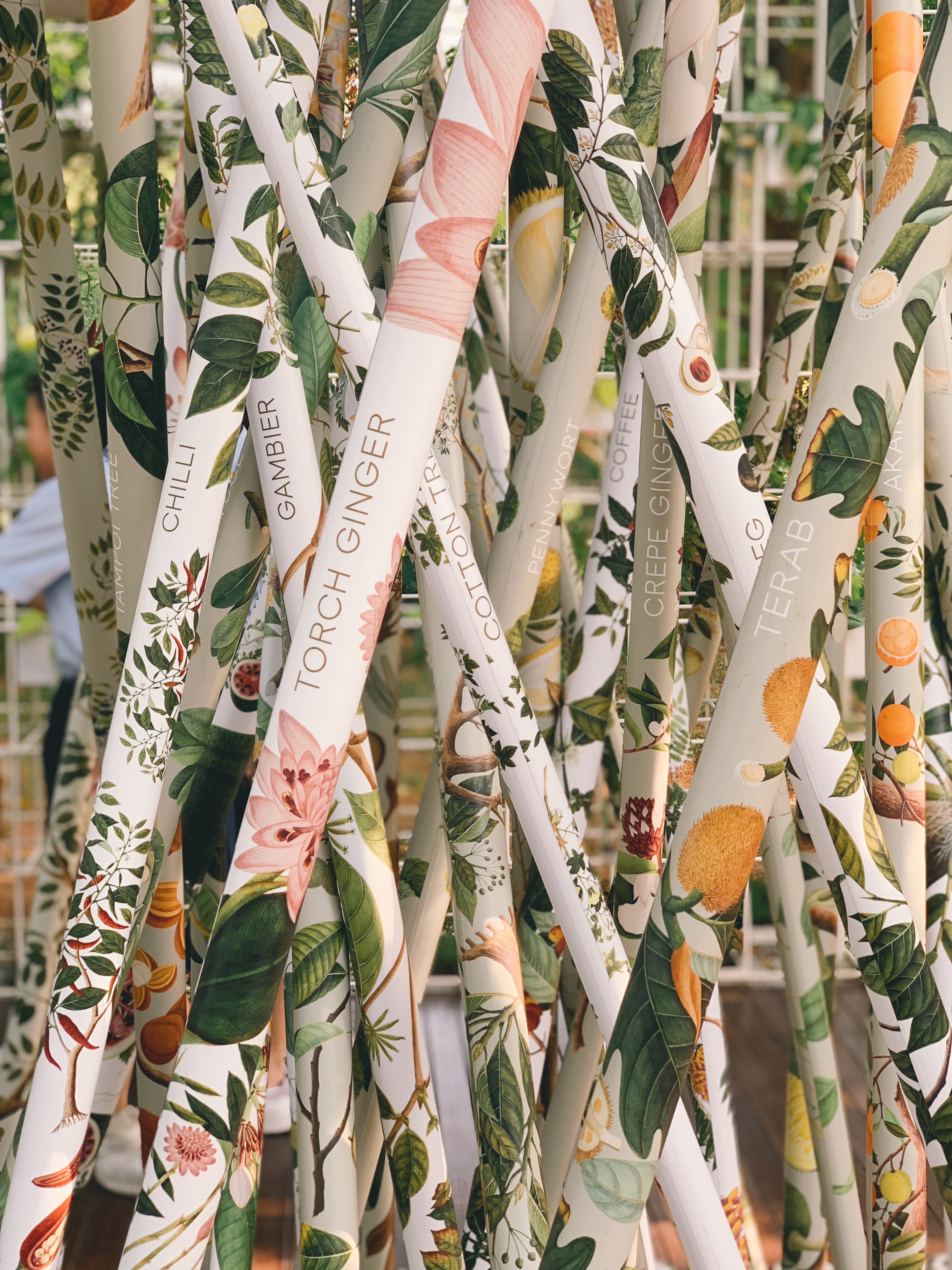 At the Seed Conservatory, learn about how both native and non-native plants have come to us through our past. Photo: Connected to India