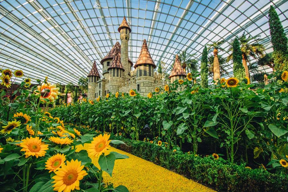 Photo courtesy: Gardens By The Bay