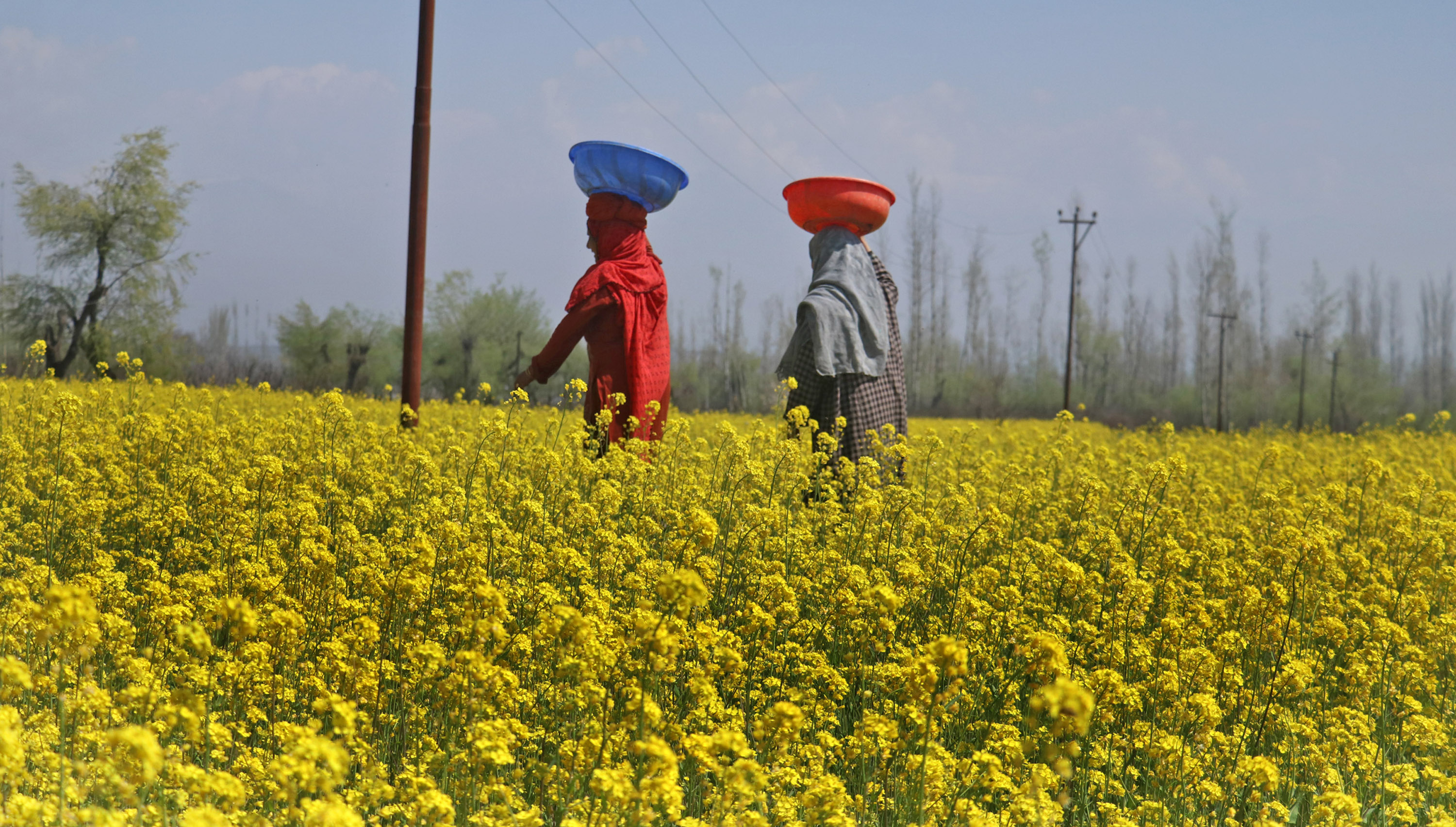 Kashmir valley